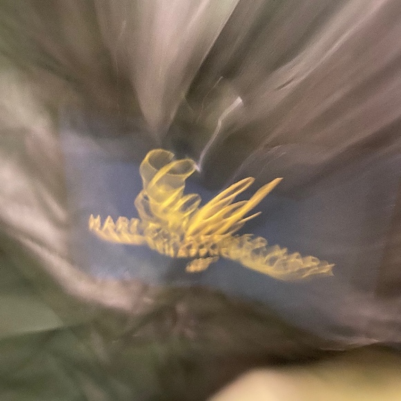 Meet your Posher, Randy - Picture 1 of 1